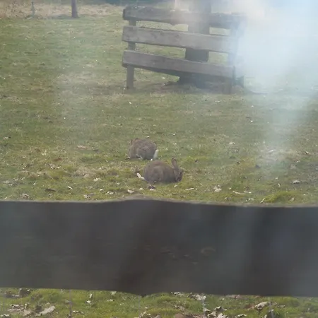 Schnehagen فندق 3*