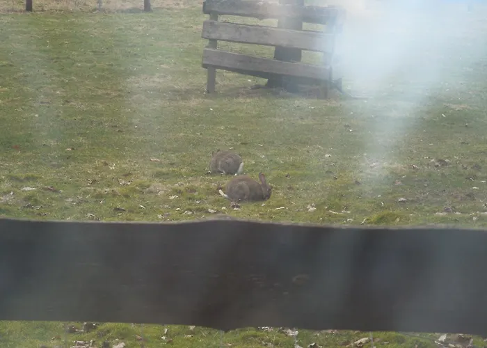 Schnehagen Отель 3*